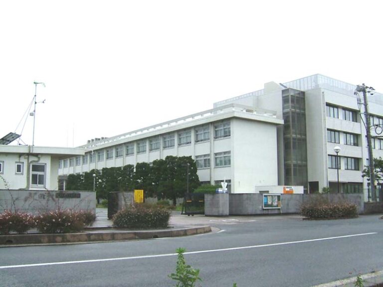 高専卒と大学卒でキャリアはどう違う？特性の違いを中立に解説