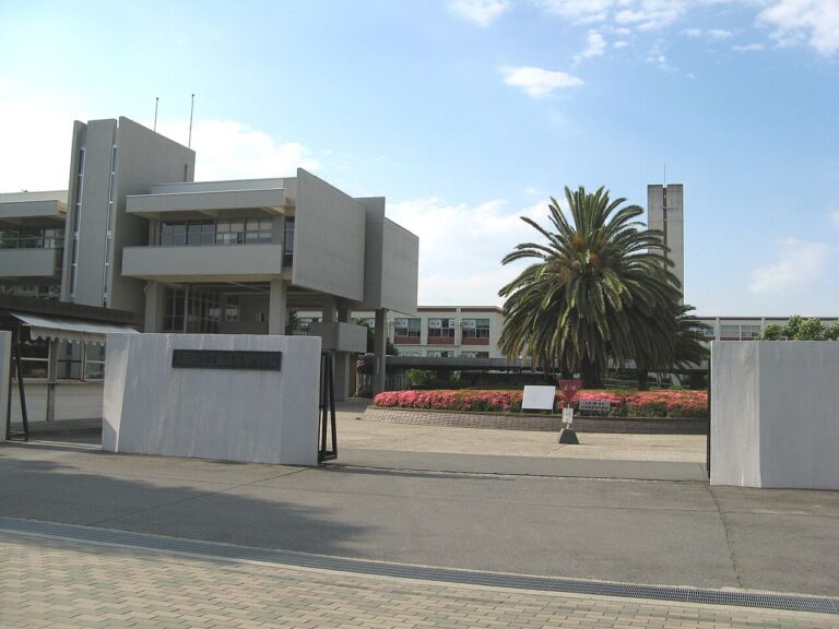 高専で学ぶ女子学生の進路事情と活躍の場